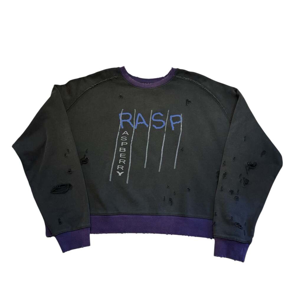 GV Gallery Raspberry Hills Sulfur Crewneck Sweatshirt in Washed Black/Purple